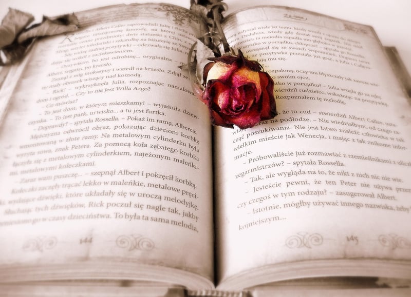 Book and Time Travel